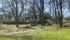 IMG_4386 (FILEminimizer).jpeg